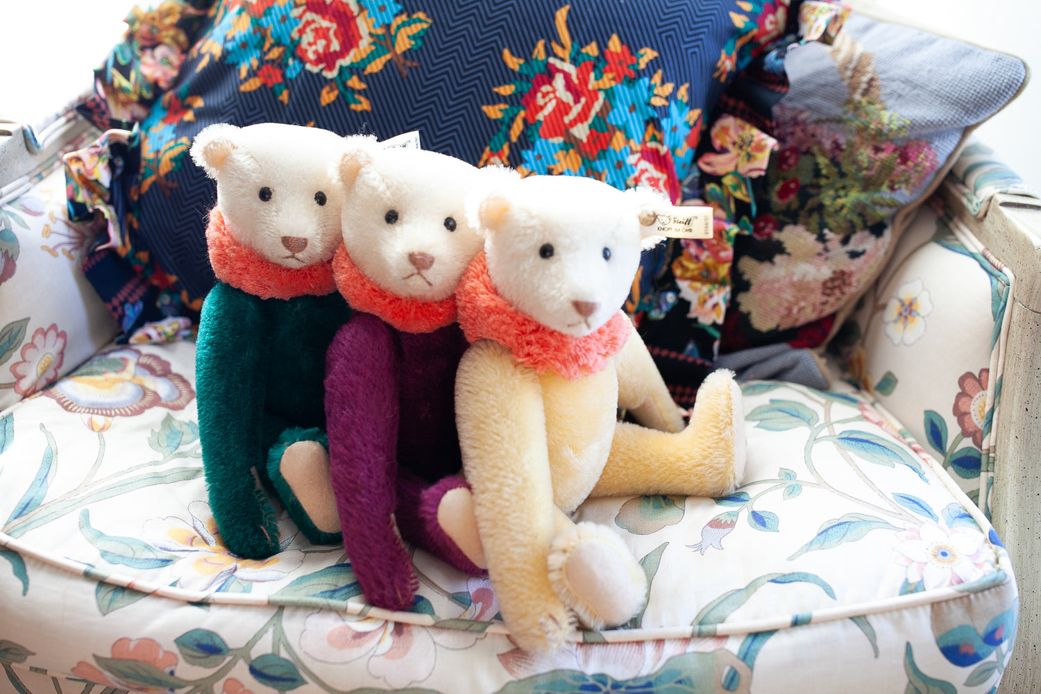 Steiff and R. John Wright