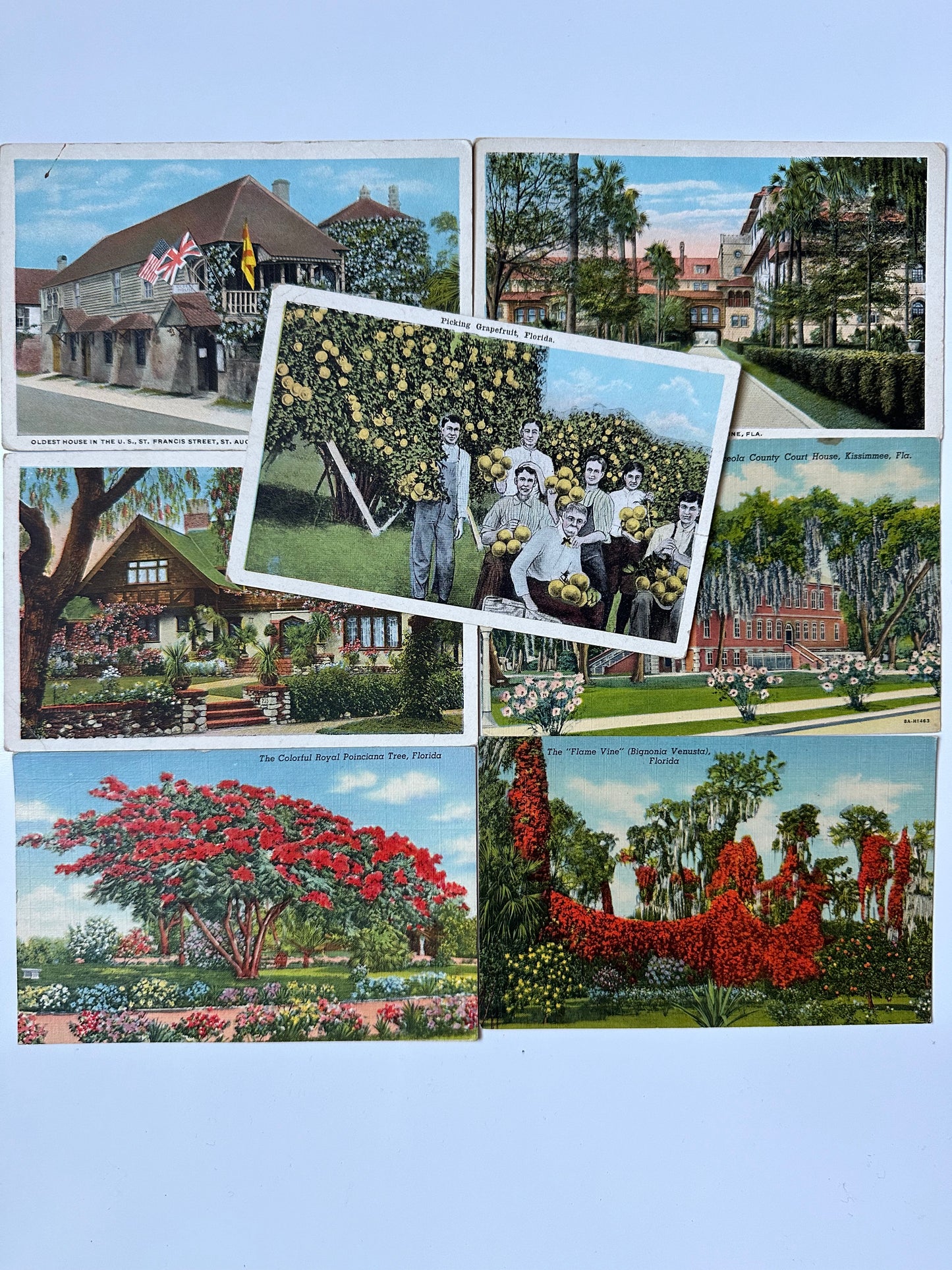 Vintage Florida postcards - flowers