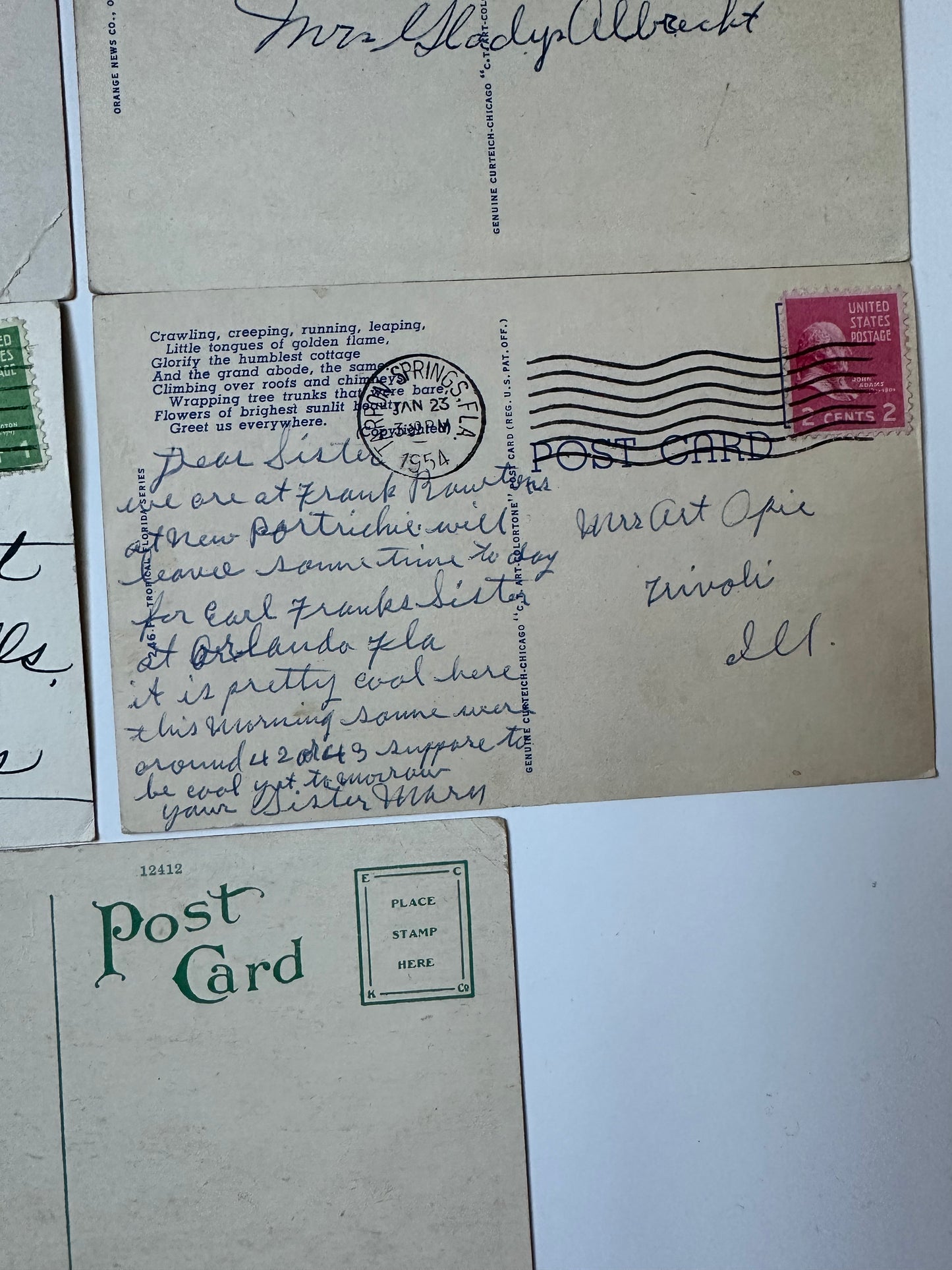 Vintage Florida postcards - flowers