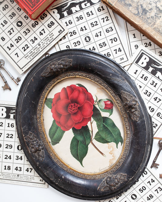 Antique Framed Rose Print