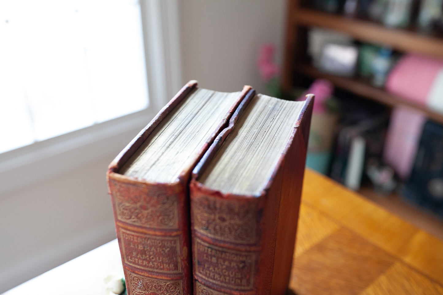 International Library of Famous Literature -Antique Books