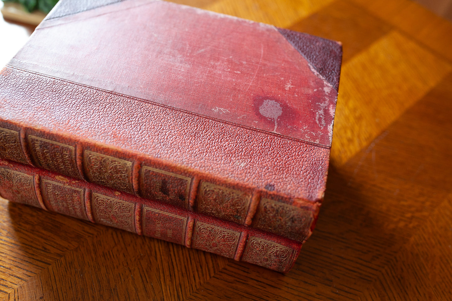 International Library of Famous Literature -Antique Books