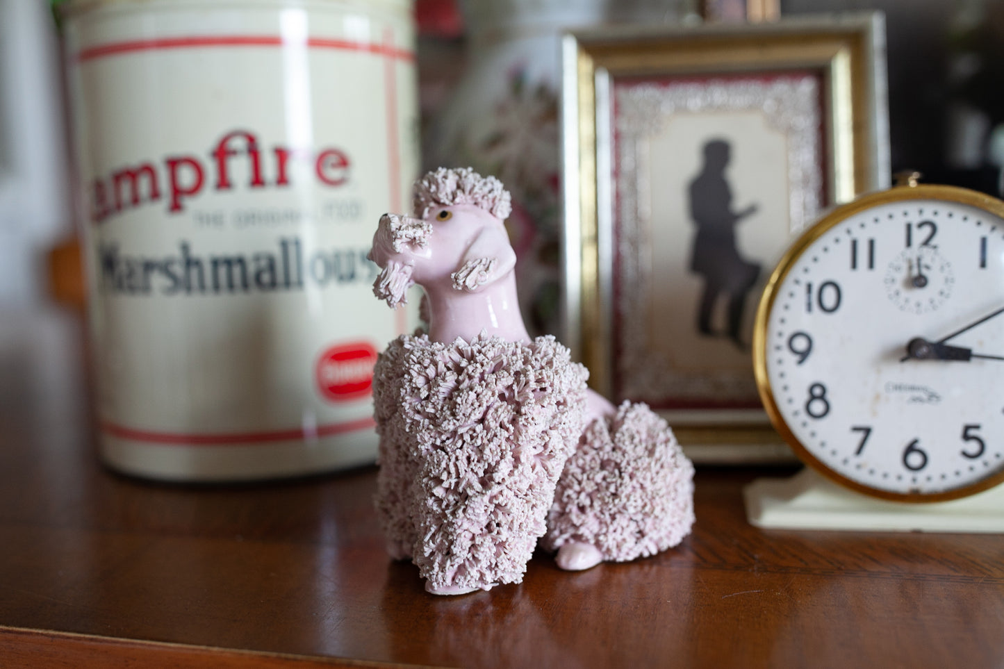 Vintage Pink Poodle - Spaghetti Trim Poodle