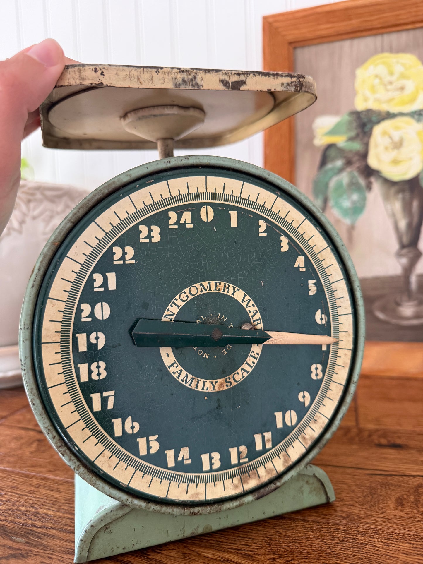 Vintage Scale -Montgomery Ward - Green Scale