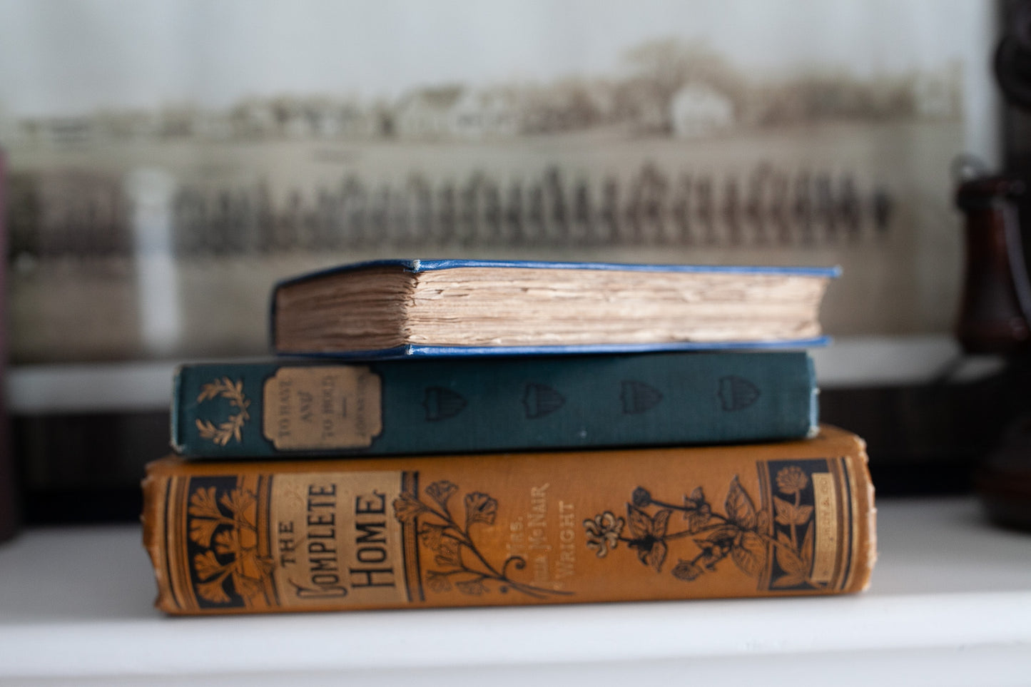 The Choir Invisible - Antique Blue Book- James Lane Allen-