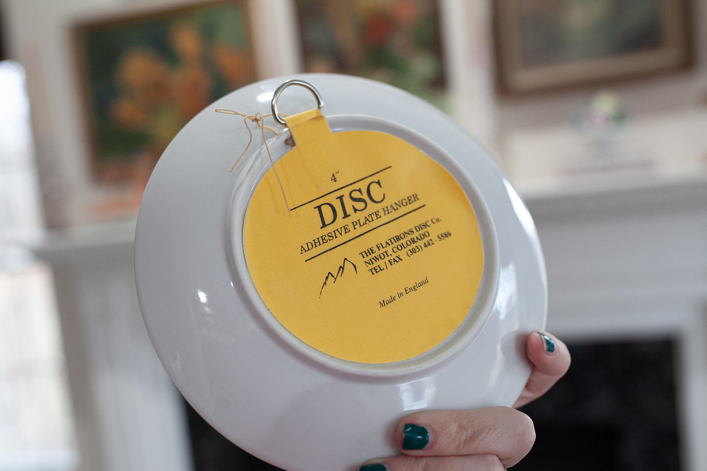 Royal Copenhagen Plate- Vintage blue plate