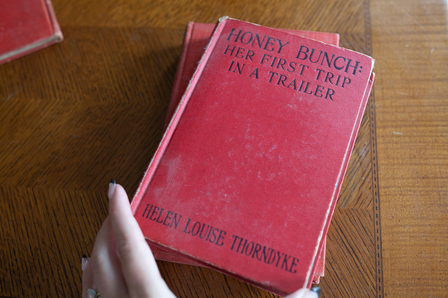 Vintage Stack of Red Books