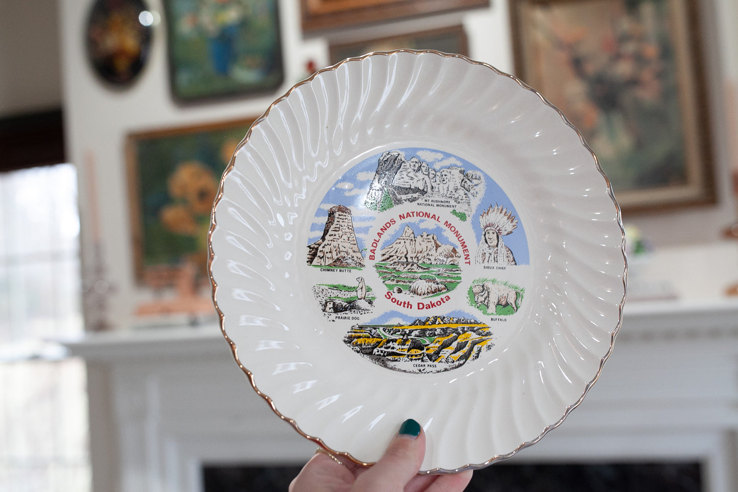 South Dakota Badlands National Monument- Tourist Plate- Collectible Plate