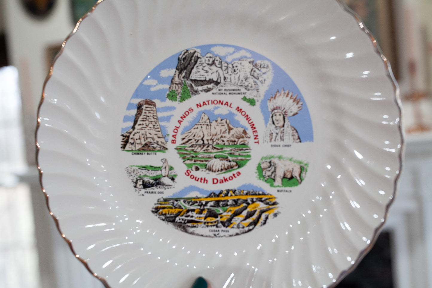 South Dakota Badlands National Monument- Tourist Plate- Collectible Plate