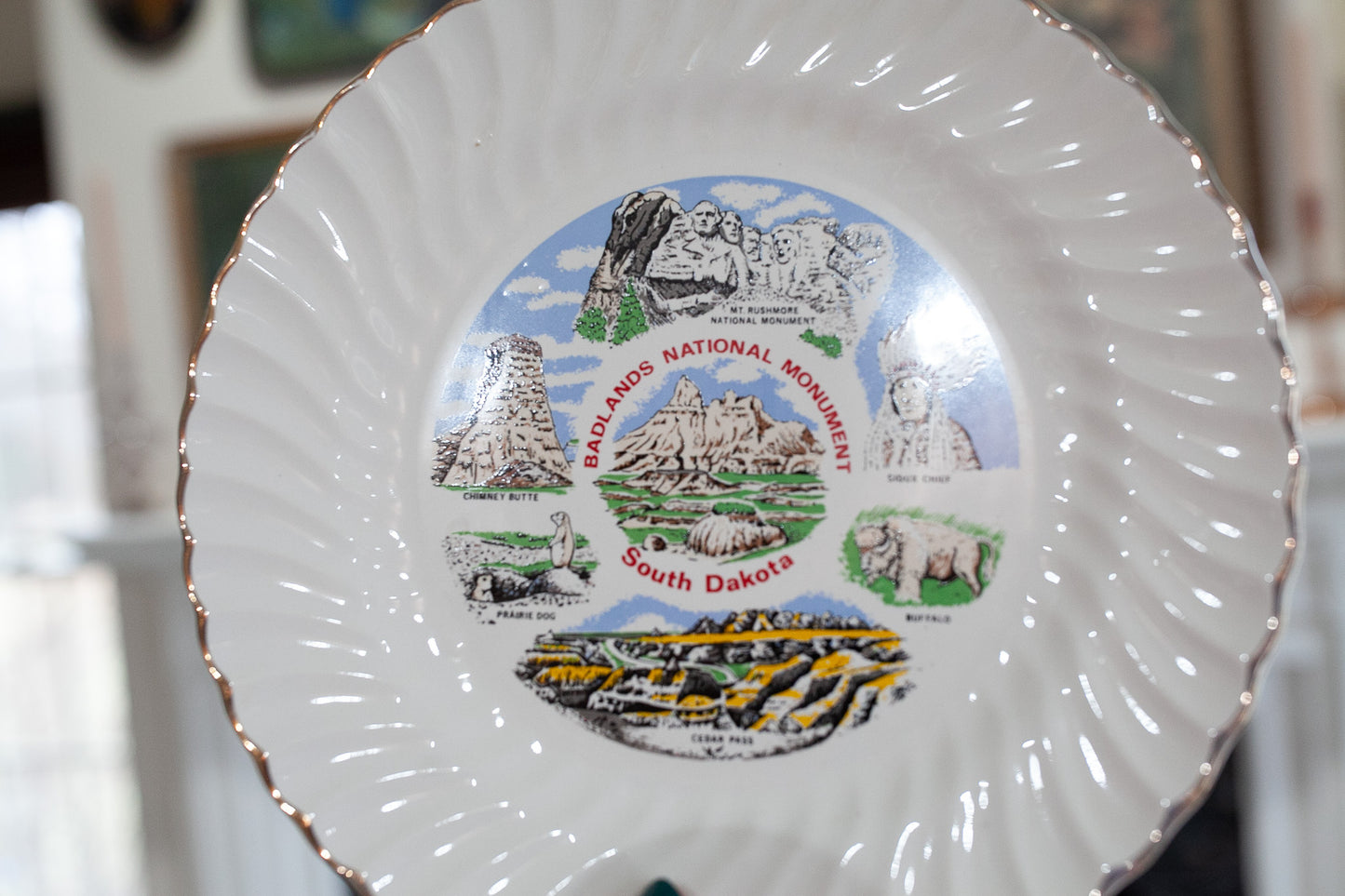 South Dakota Badlands National Monument- Tourist Plate- Collectible Plate