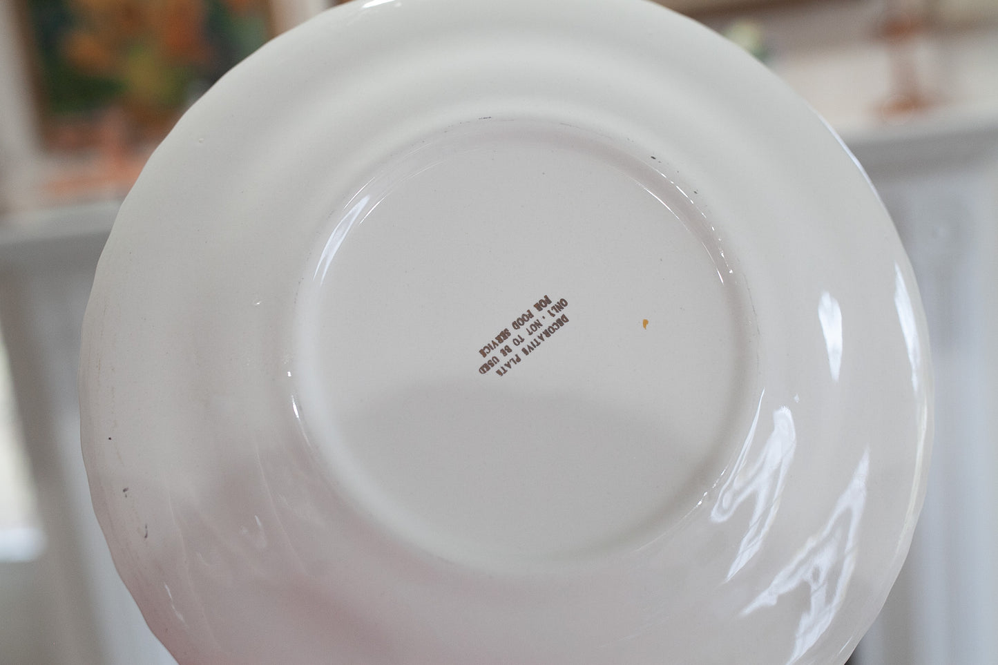 South Dakota Badlands National Monument- Tourist Plate- Collectible Plate