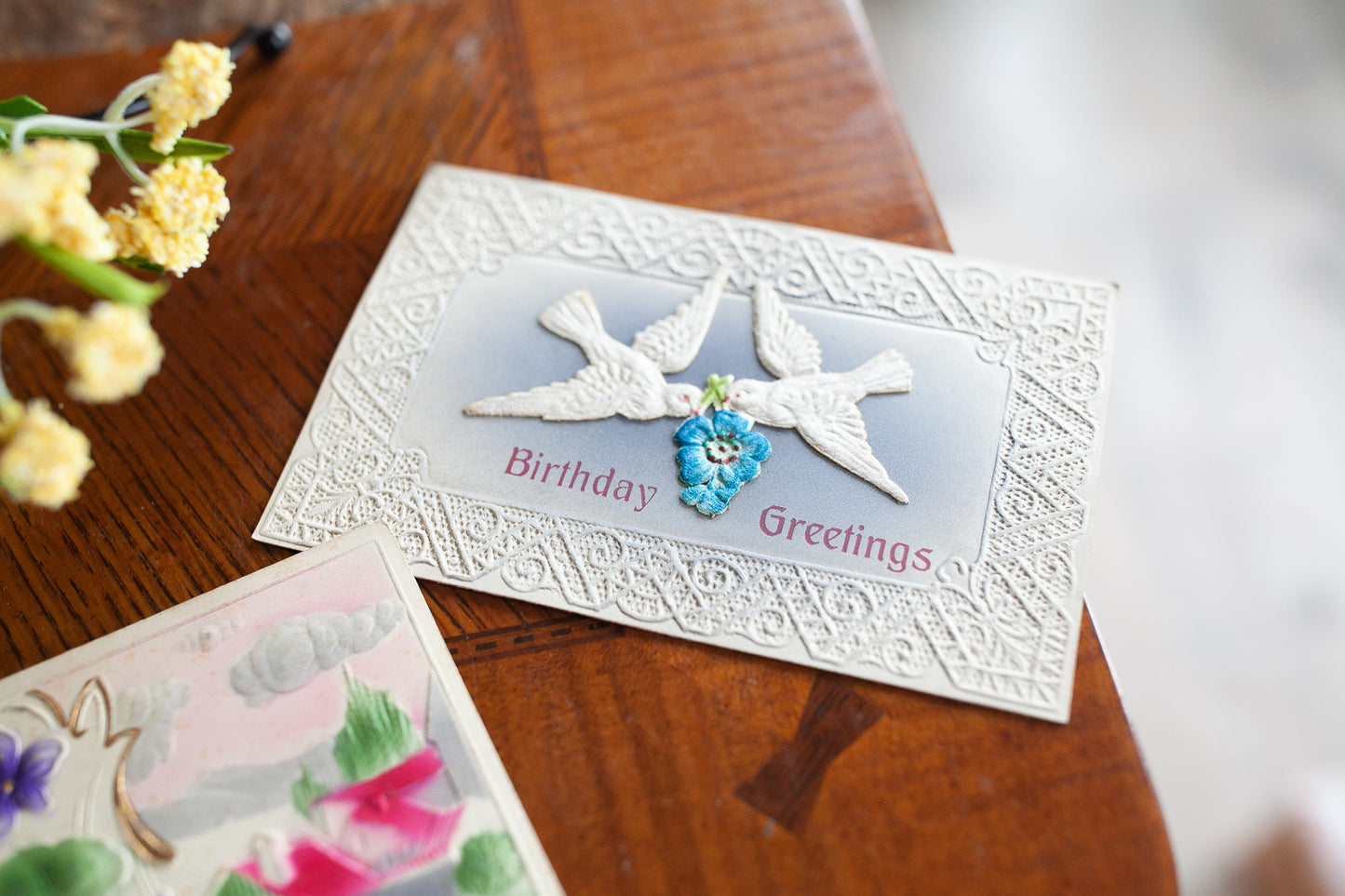 Antique Postcards- Bird Postcards