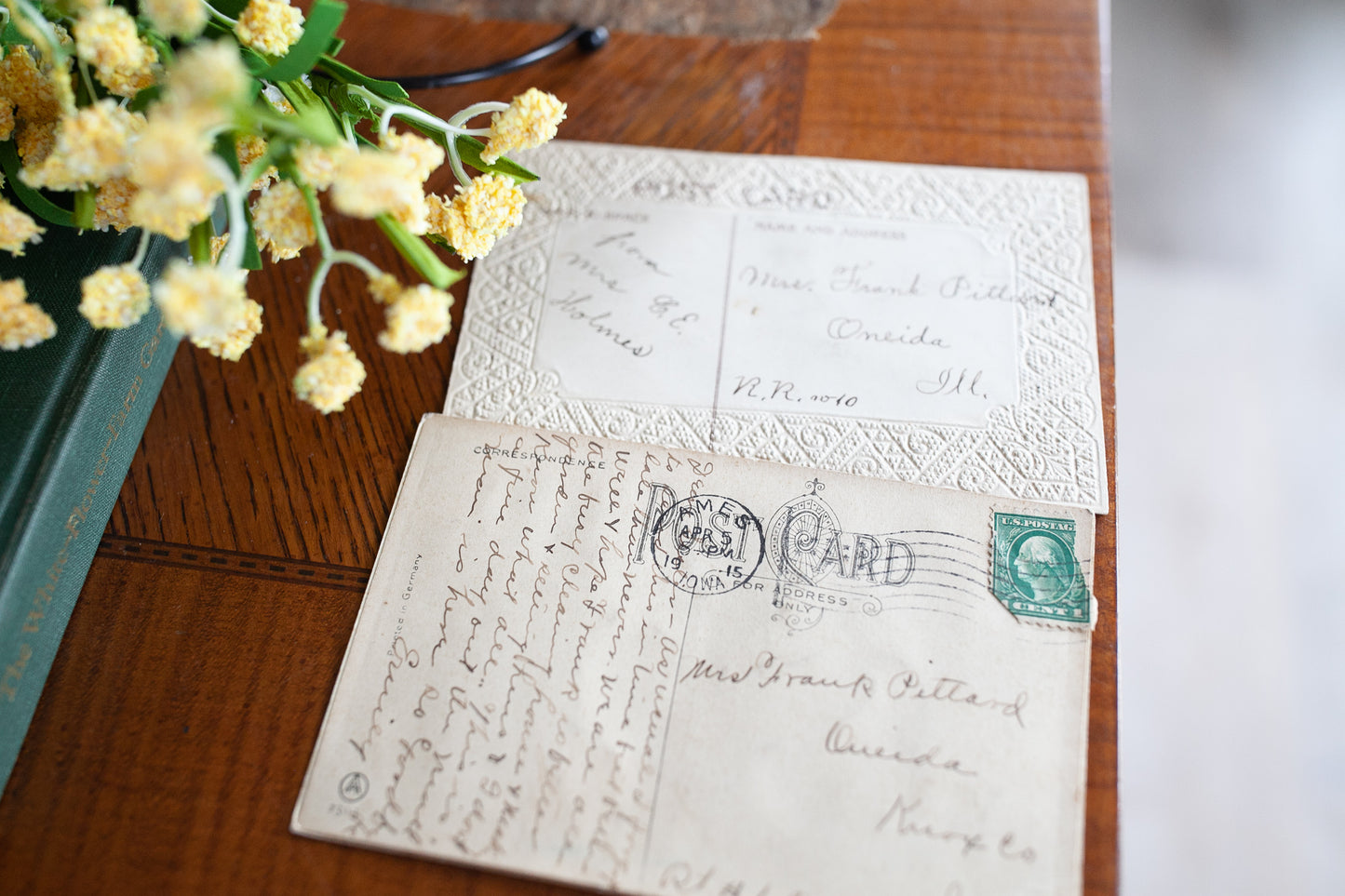 Antique Postcards- Bird Postcards