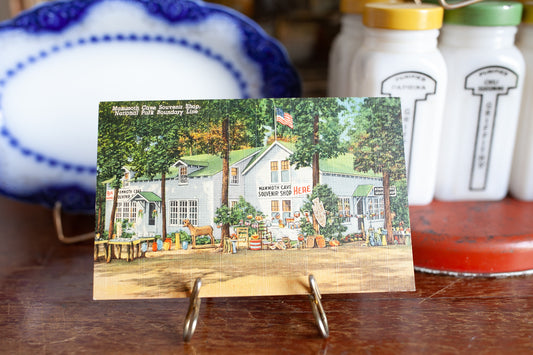 Vintage Summer Postcard