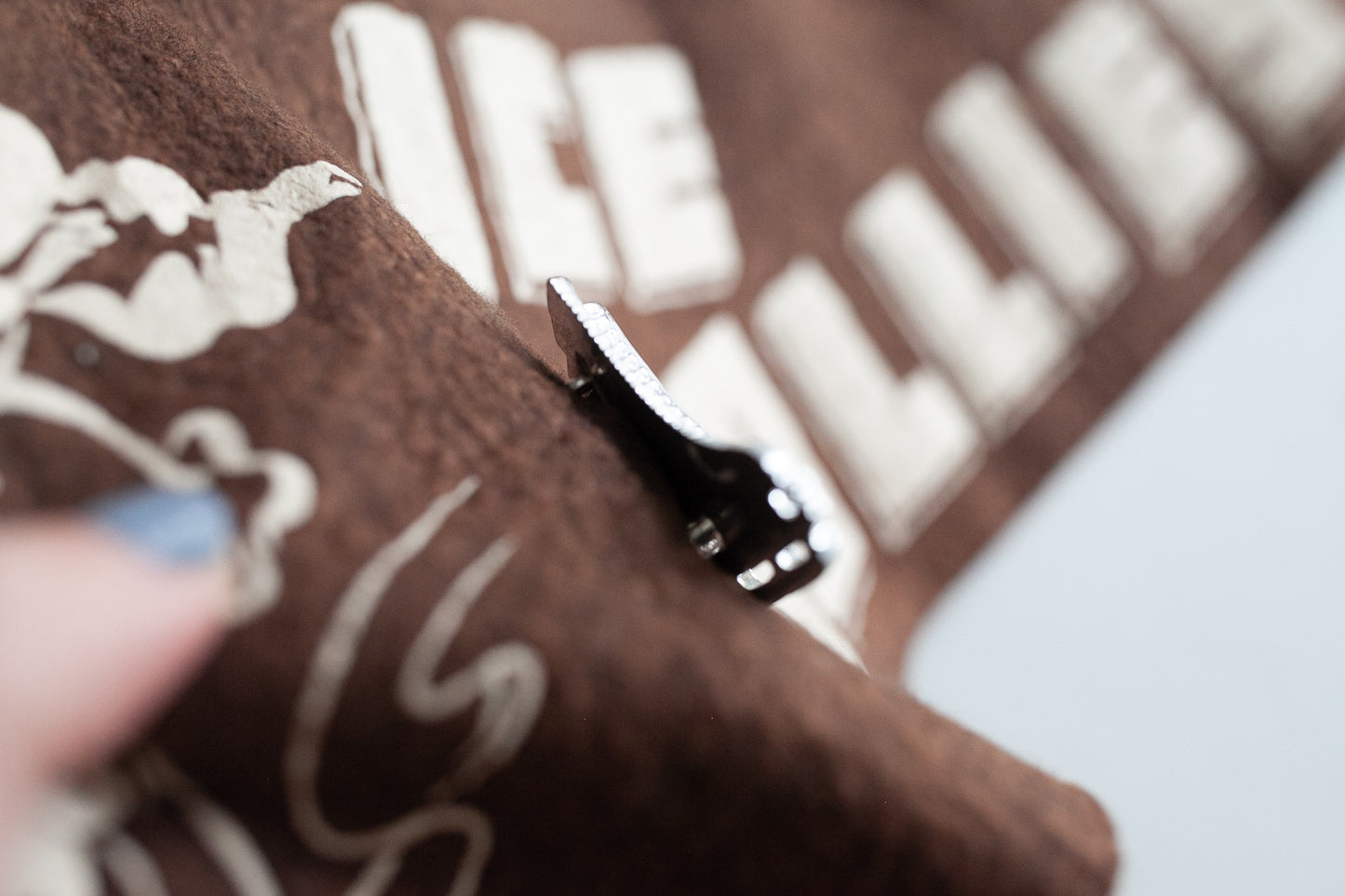 Ice Follies Pennant -Ice Capades