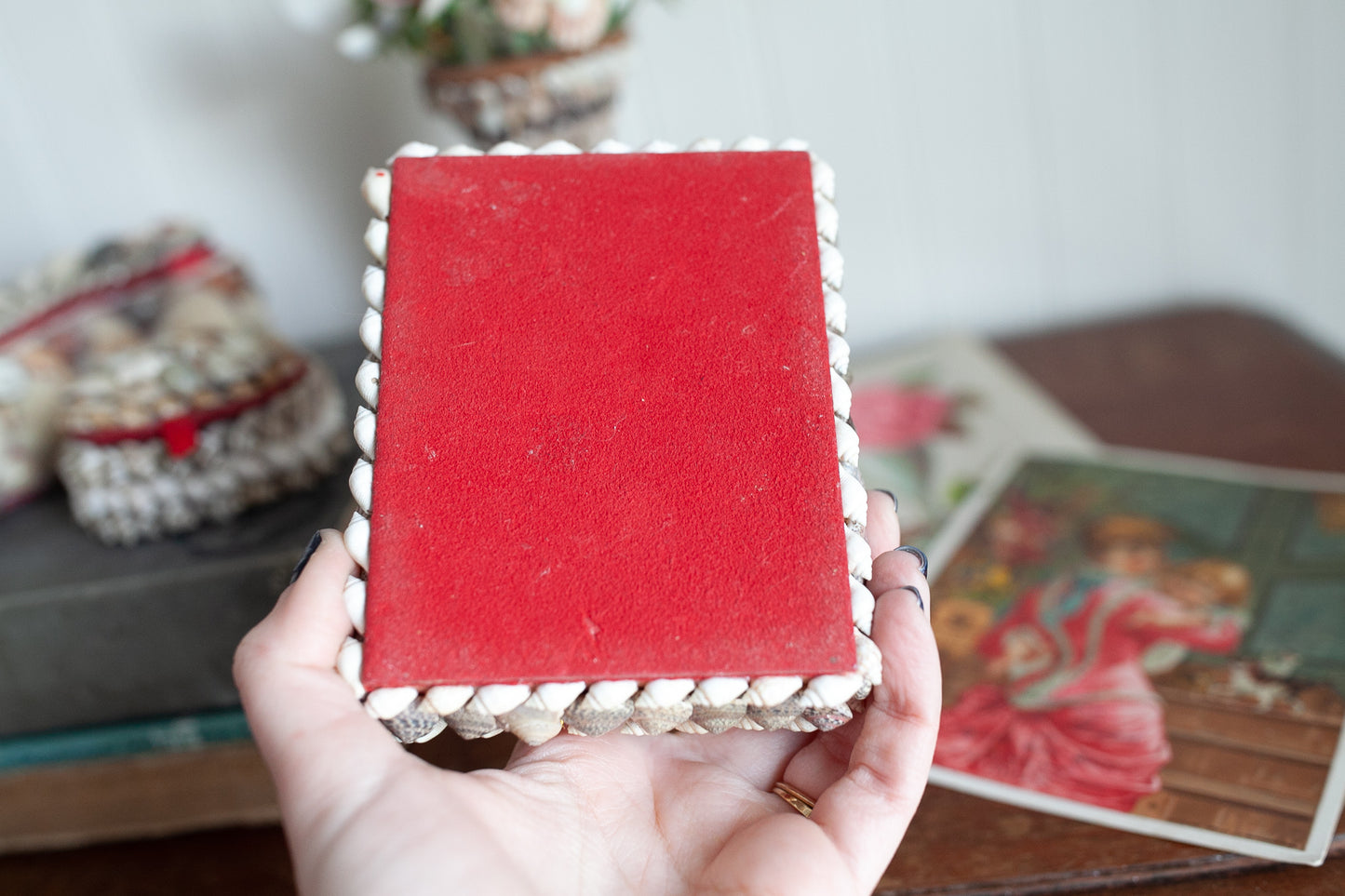 Vintage Shell Box - Shell Box- Trinket Box -Coastal Decor