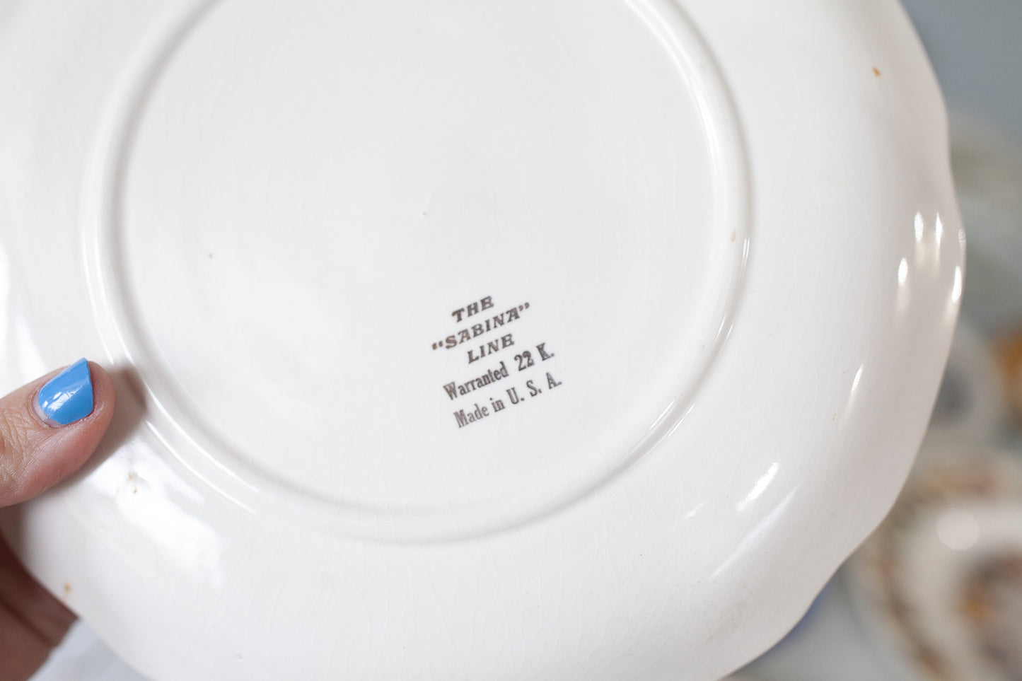 Pennsylvania Plate- Tourist Plate - Souvenir Plate