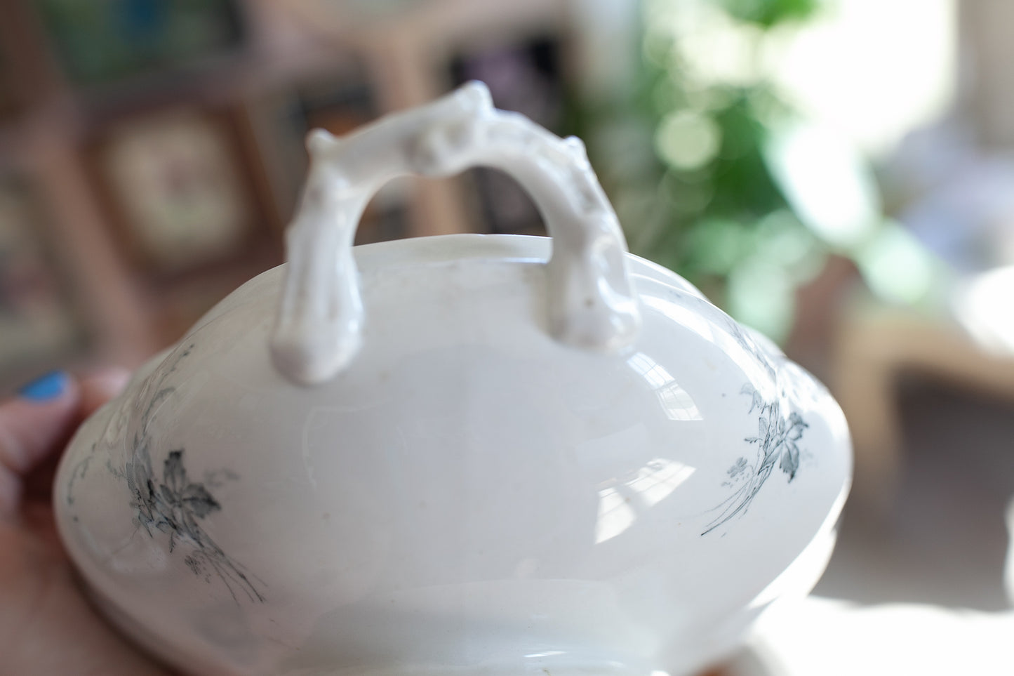 Vintage Tureen - Transferware