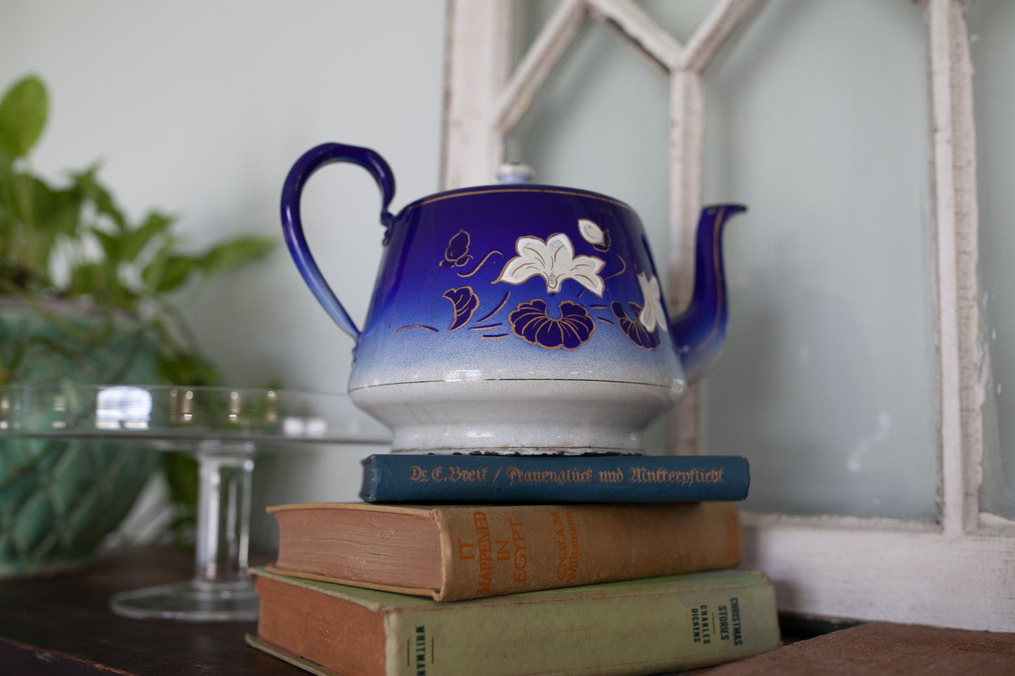 Antique Enamelware Teapot - Blue and White Teapot