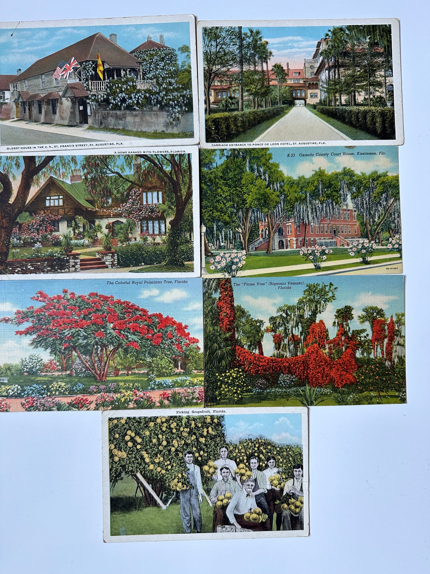 Vintage Florida postcards - flowers