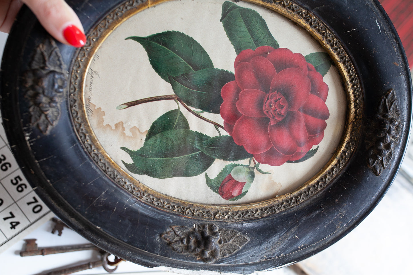 Antique Framed Rose Print