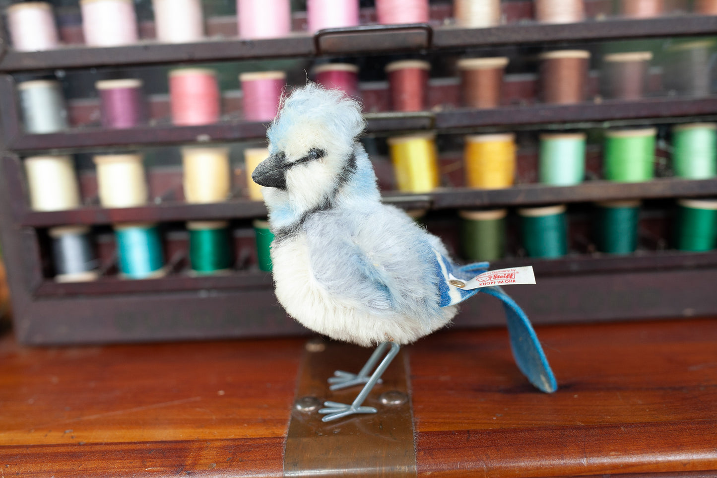 Steiff- Vintage Steiff Blue Jay - Bird- Vintage Blue Jay