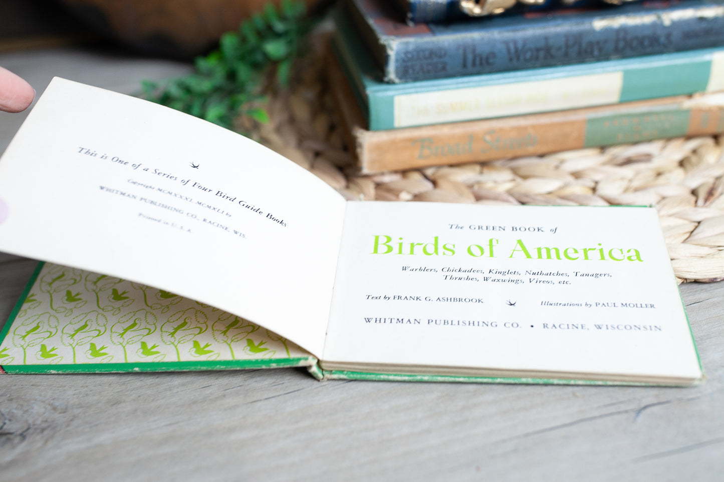 Vintage Bird Book - The Green Book of Birds of America Illustrated in color- vintage guide book