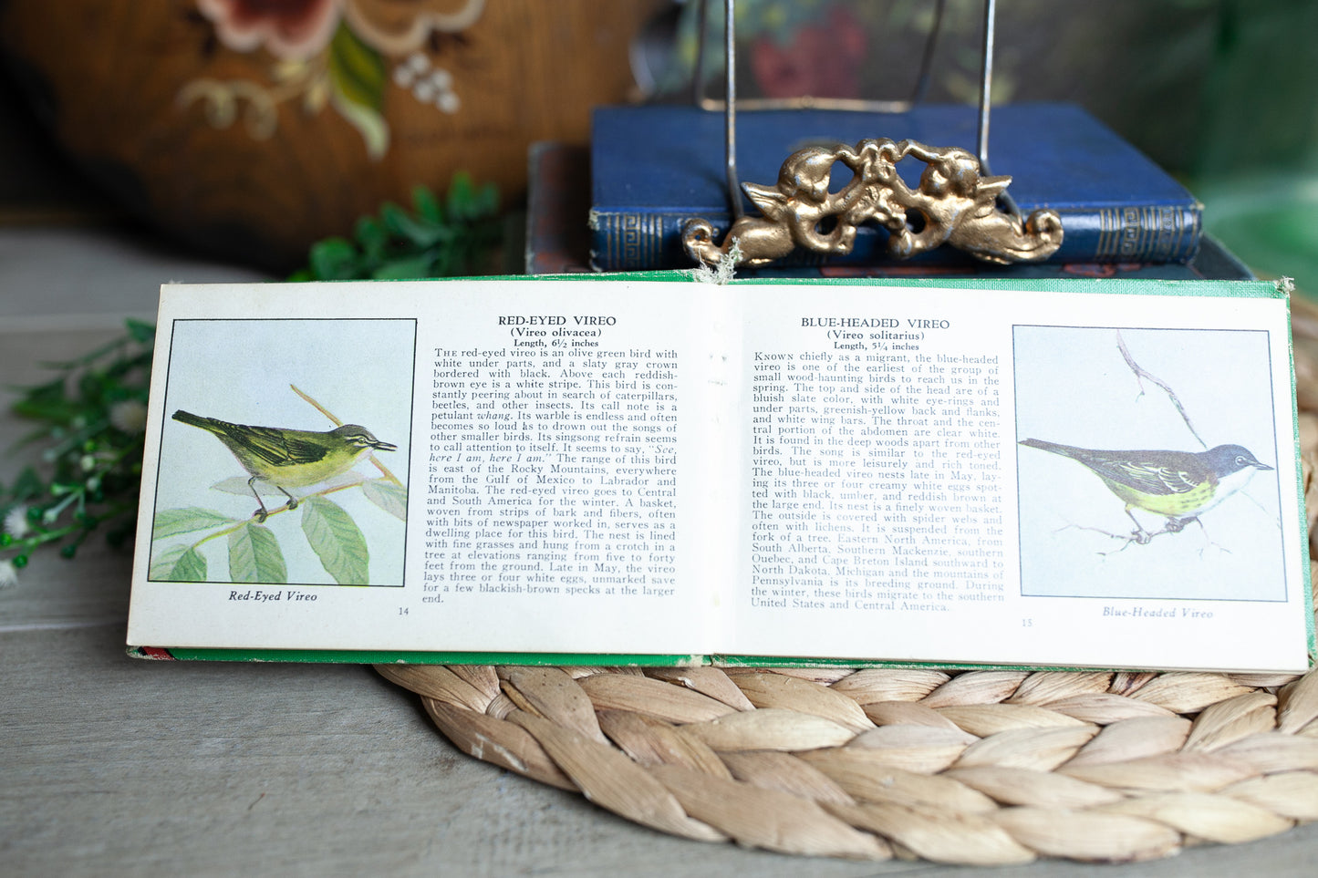 Vintage Bird Book - The Green Book of Birds of America Illustrated in color- vintage guide book
