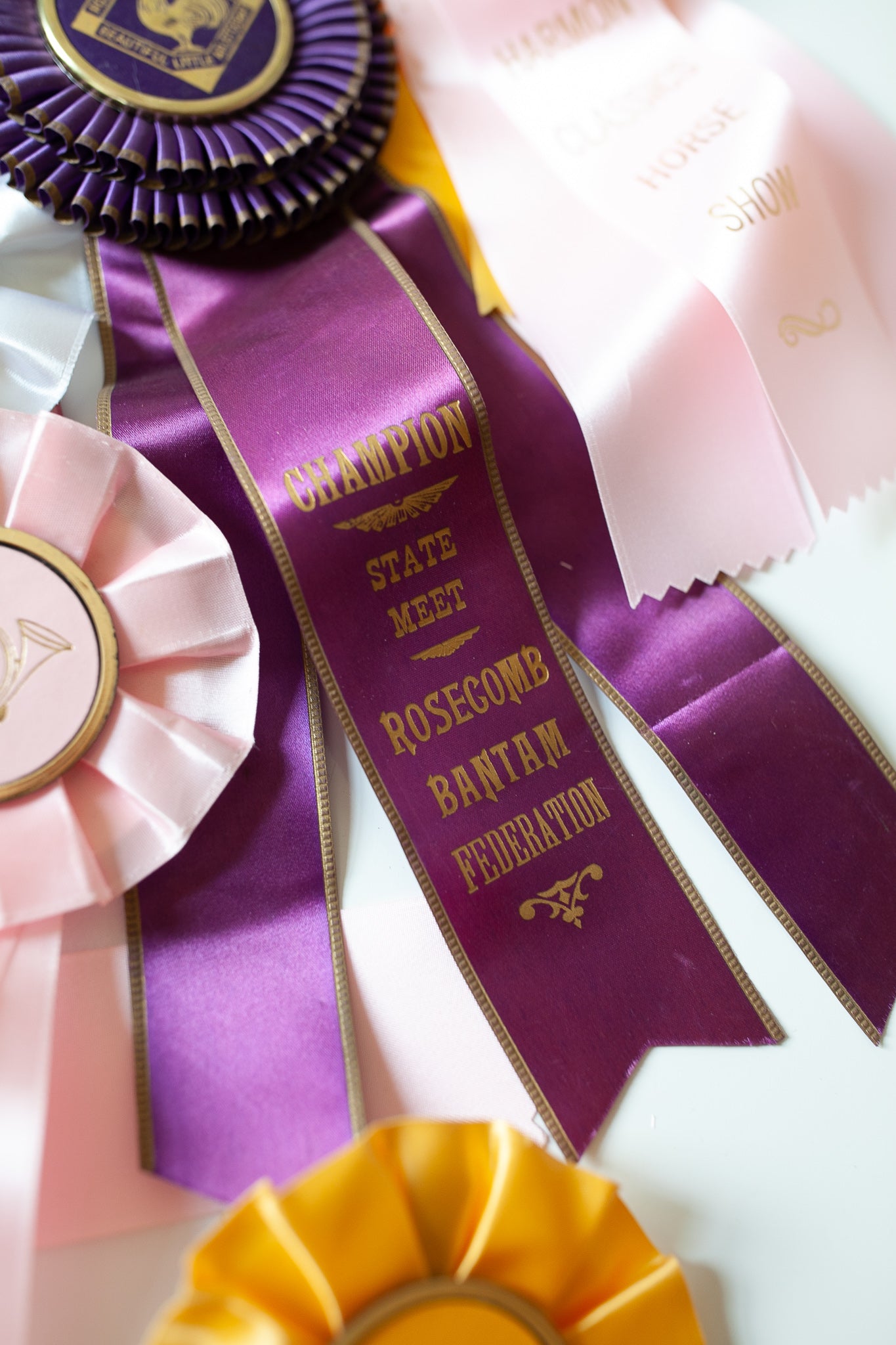 Vintage Prize Ribbon- Rooster Ribbon - Purple Ribbon