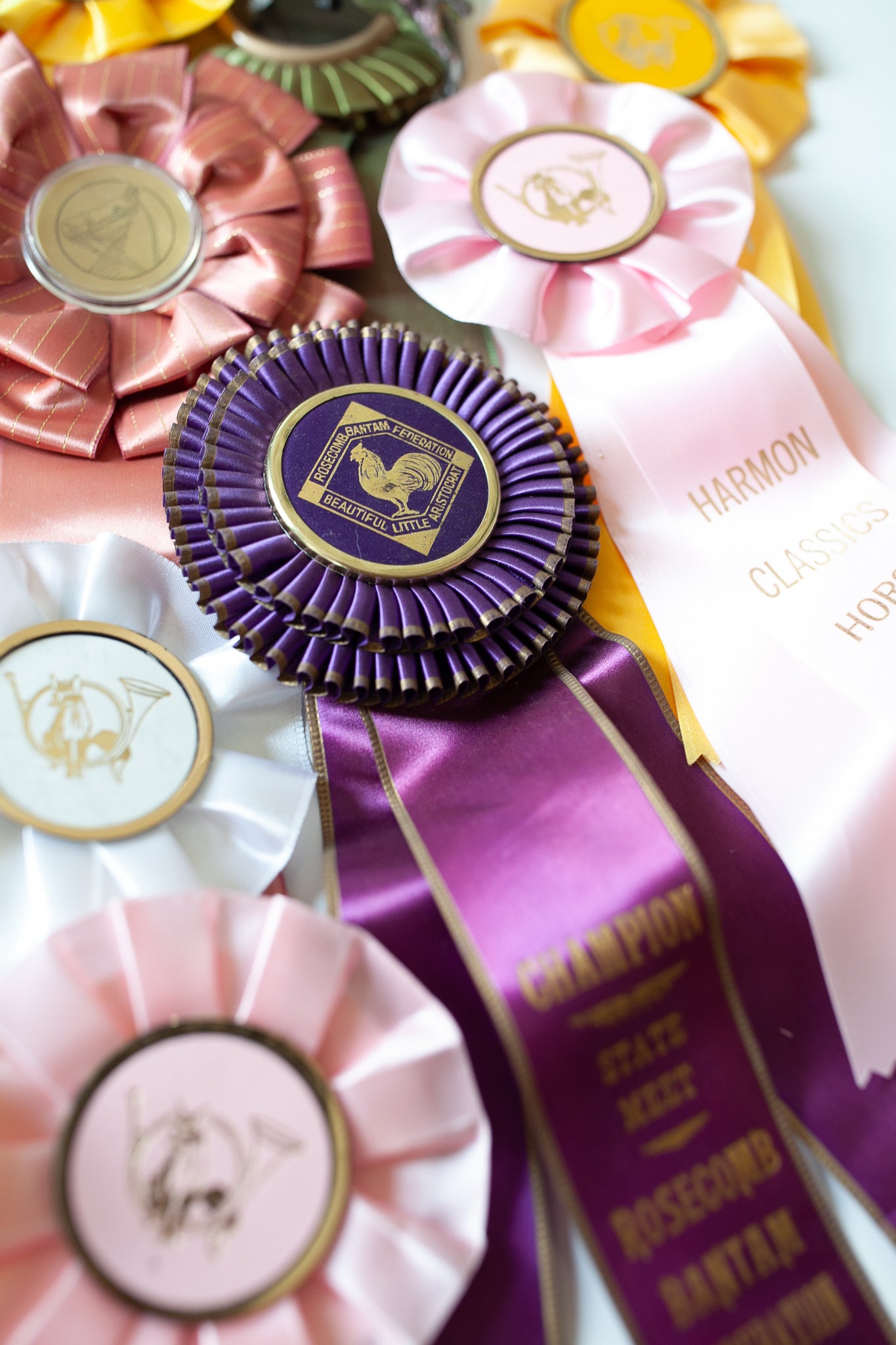 Vintage Prize Ribbon- Rooster Ribbon - Purple Ribbon