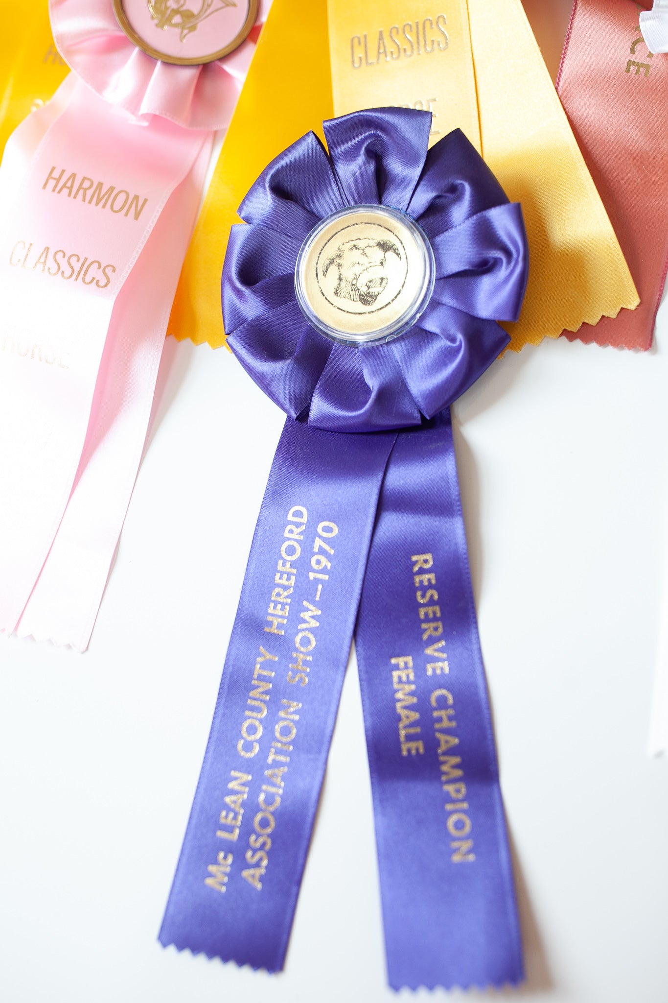 Vintage Prize Ribbon- Cow Ribbon - Purple Ribbon