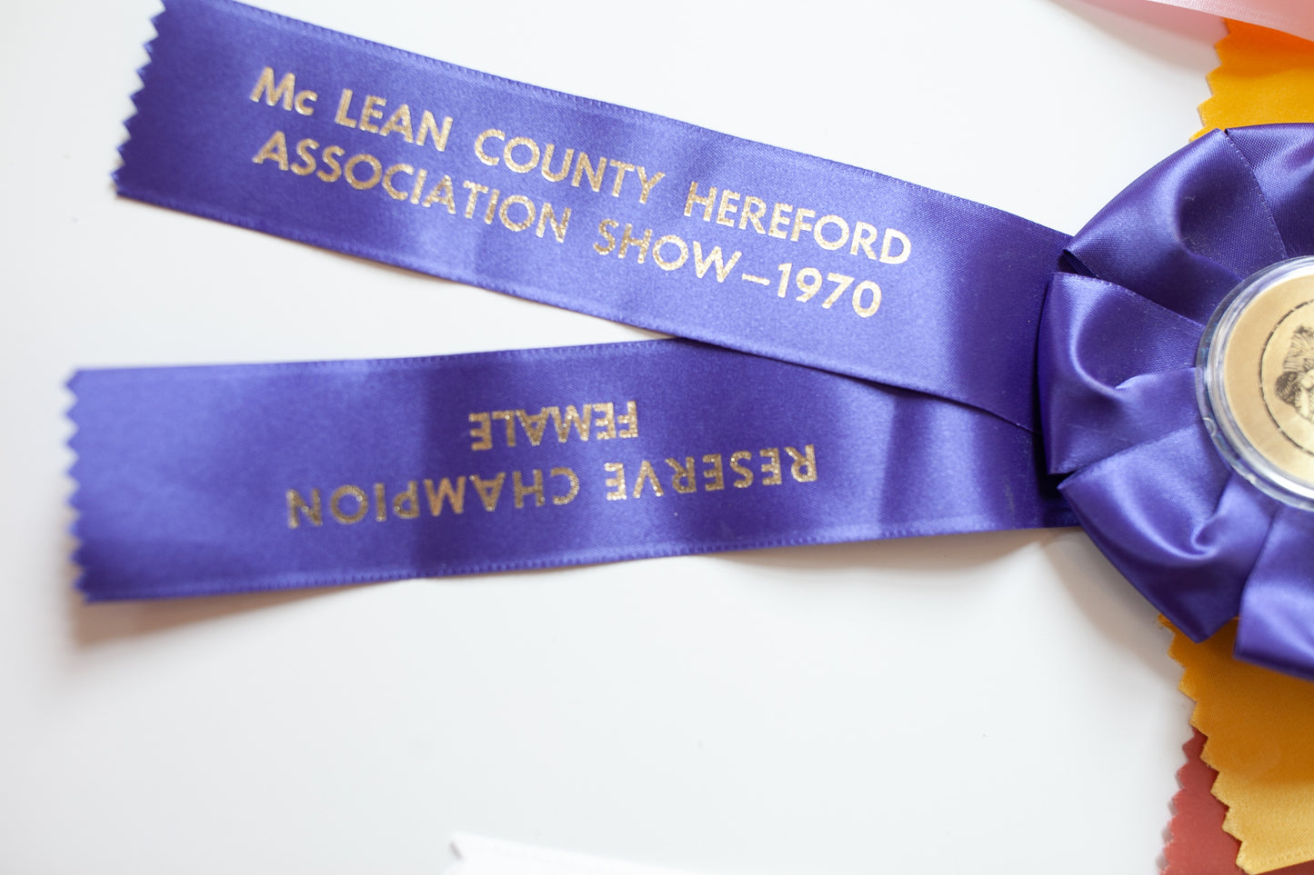 Vintage Prize Ribbon- Cow Ribbon - Purple Ribbon