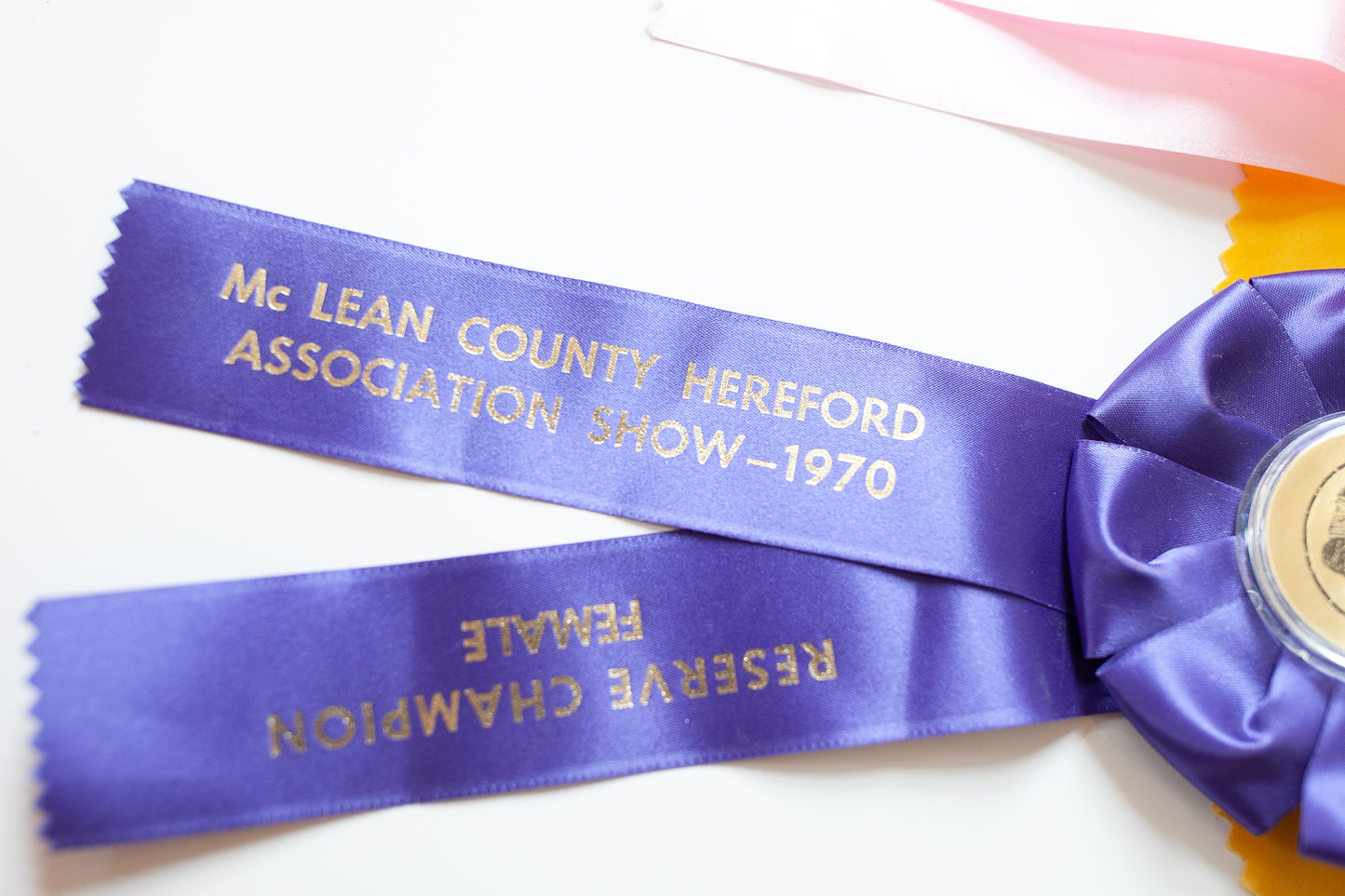 Vintage Prize Ribbon- Cow Ribbon - Purple Ribbon