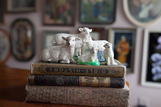 Vintage Sheep -Nativity Sheep
