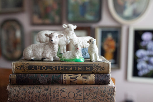 Vintage Sheep -Nativity Sheep