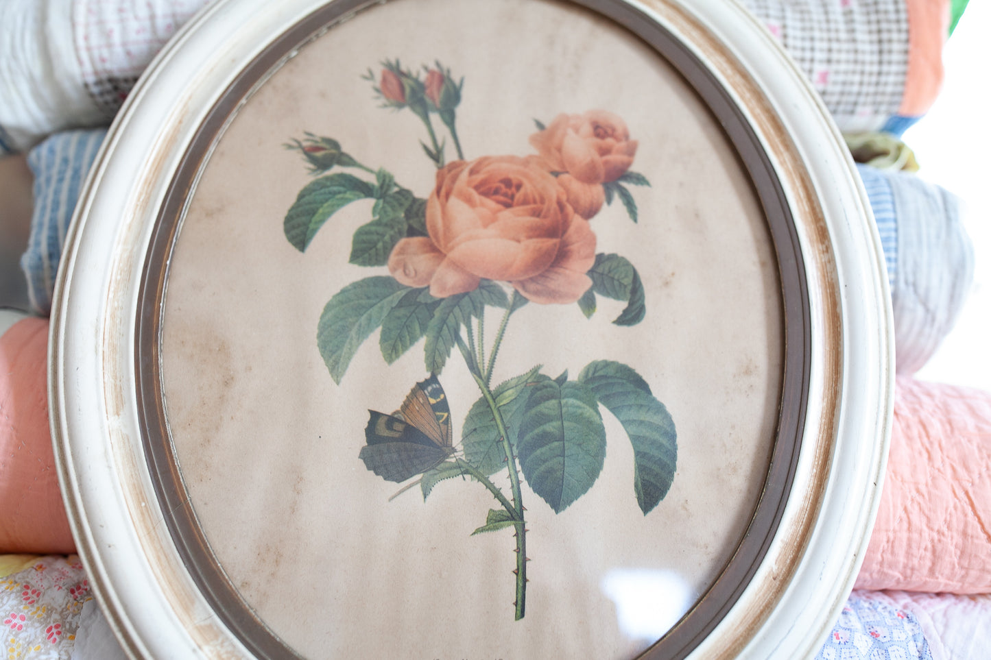 Vintage Floral Art- Rose Print- Butterfly and Roses- Oval Frame