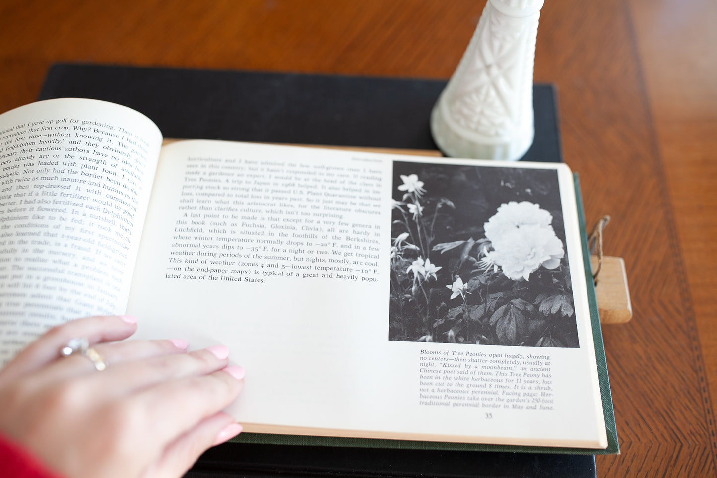 Vintage Floral Book -The White-Flower -Farm Garden Book