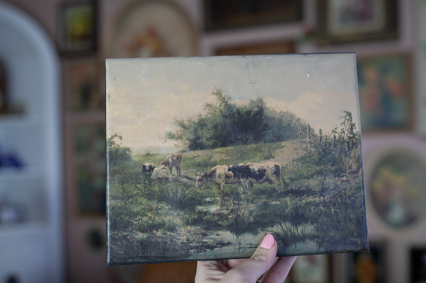 Vintage Cow Art -Canvas Art
