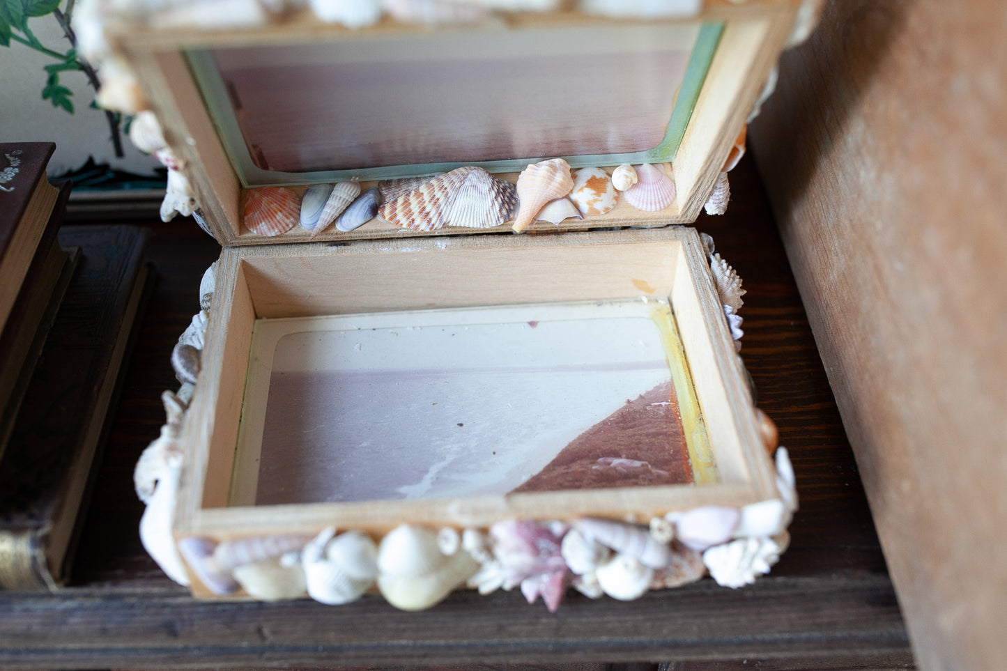 Seashell Box- Vintage Seashell Box - Memory Box- Jewelry Box