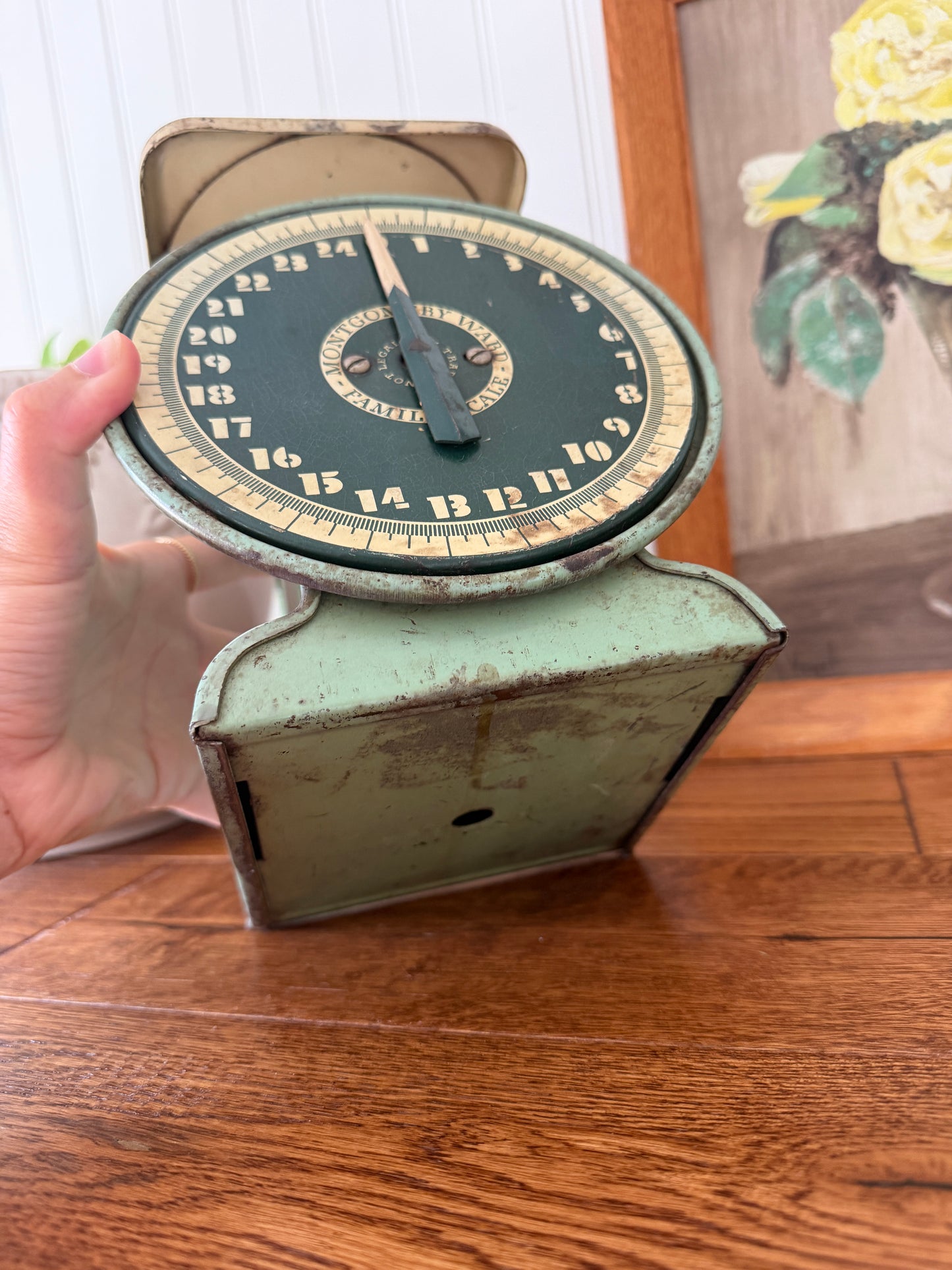 Vintage Scale -Montgomery Ward - Green Scale