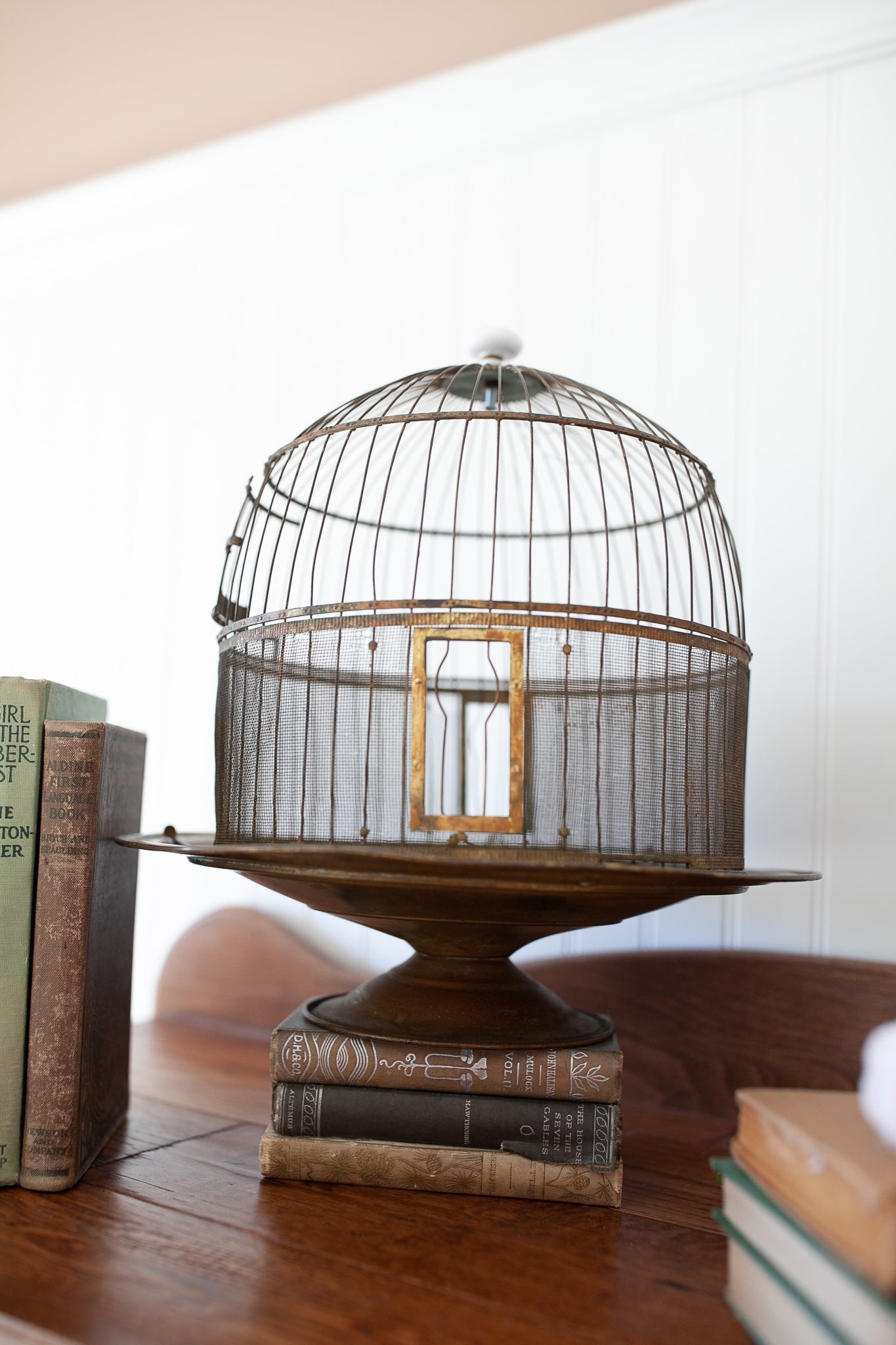 Antique Hendryx Brass Bird Cage-Antique HENDRYX Round Dome Brass Wire Bird Cage - circa 1910, Vintage Metal Beehive Bird House, Gold Terrarium