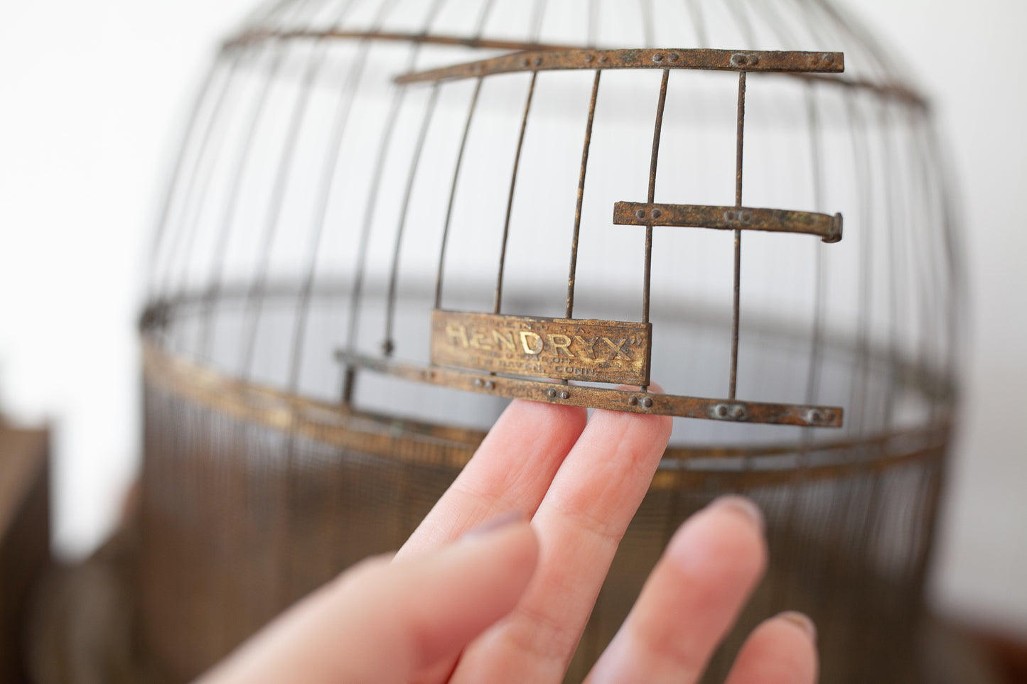 Antique Hendryx Brass Bird Cage-Antique HENDRYX Round Dome Brass Wire Bird Cage - circa 1910, Vintage Metal Beehive Bird House, Gold Terrarium