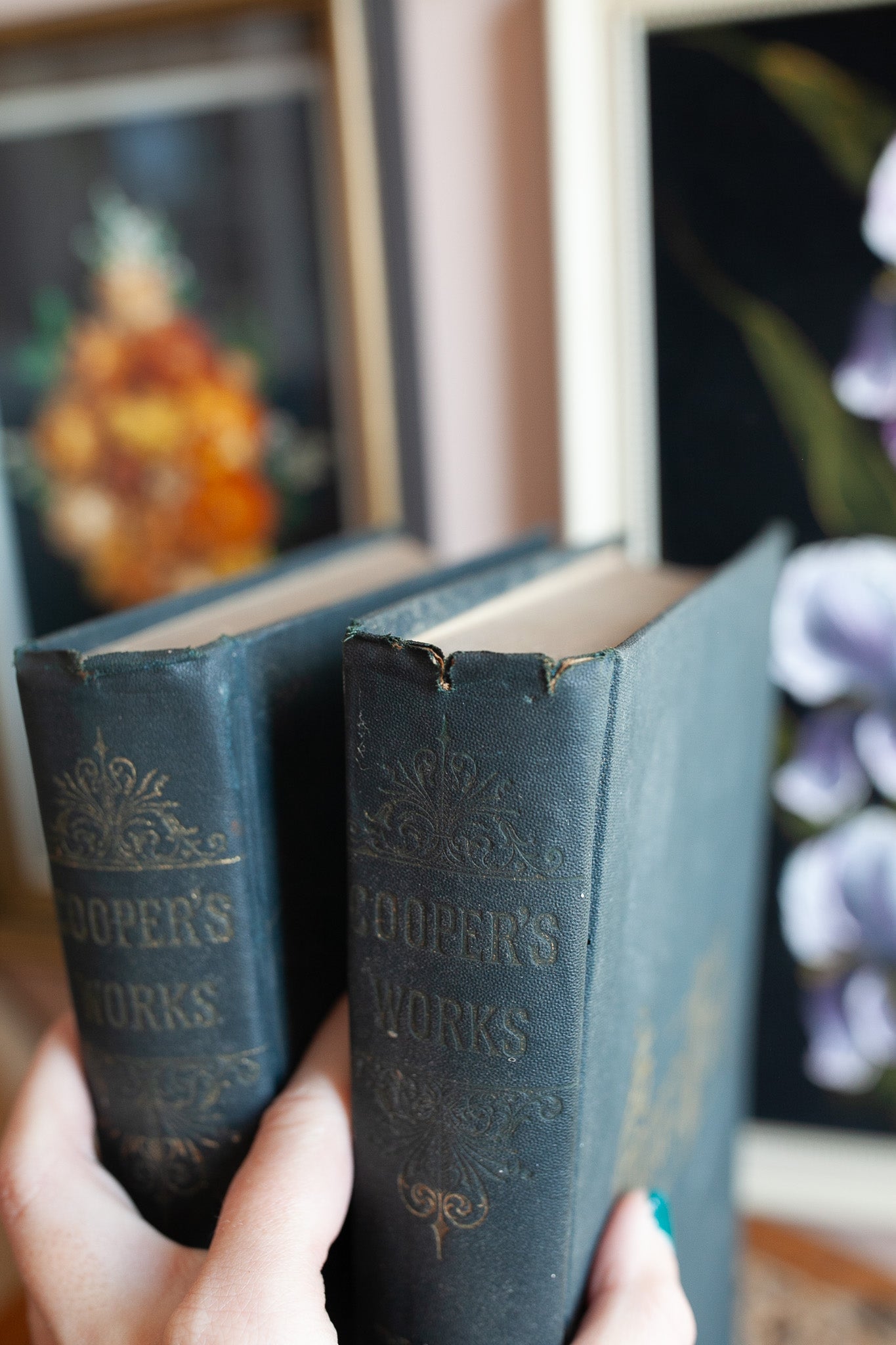 Antique Books -Coopers Works- Volume 5 and 6