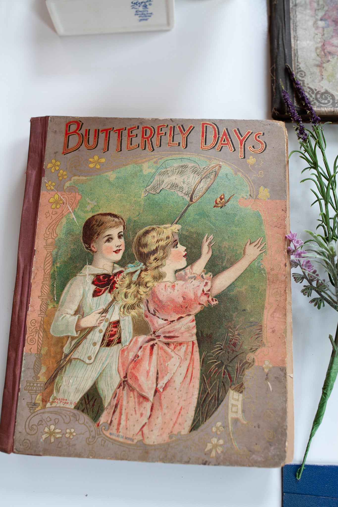 Antique Book - Butterfly Days Book De Wolfe Fiske And Company