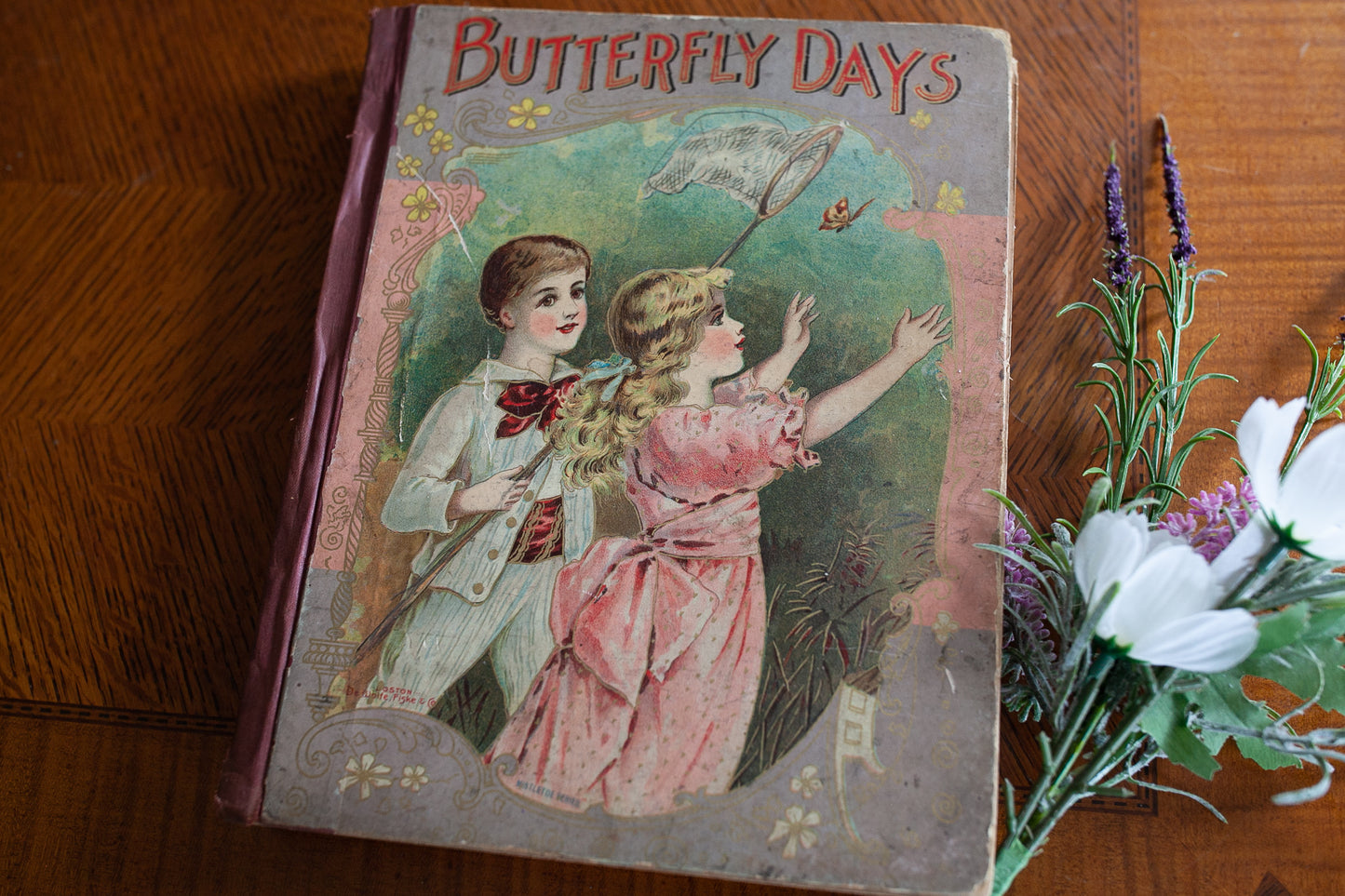 Antique Book - Butterfly Days Book De Wolfe Fiske And Company
