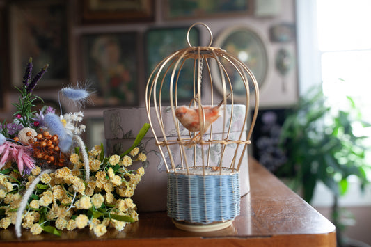Vintage Bird Cage - Bird in Cage