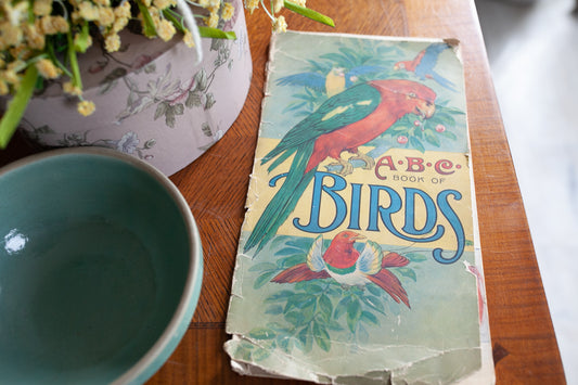 ABC Book of Birds - Bird Book Vintage Bird Book
