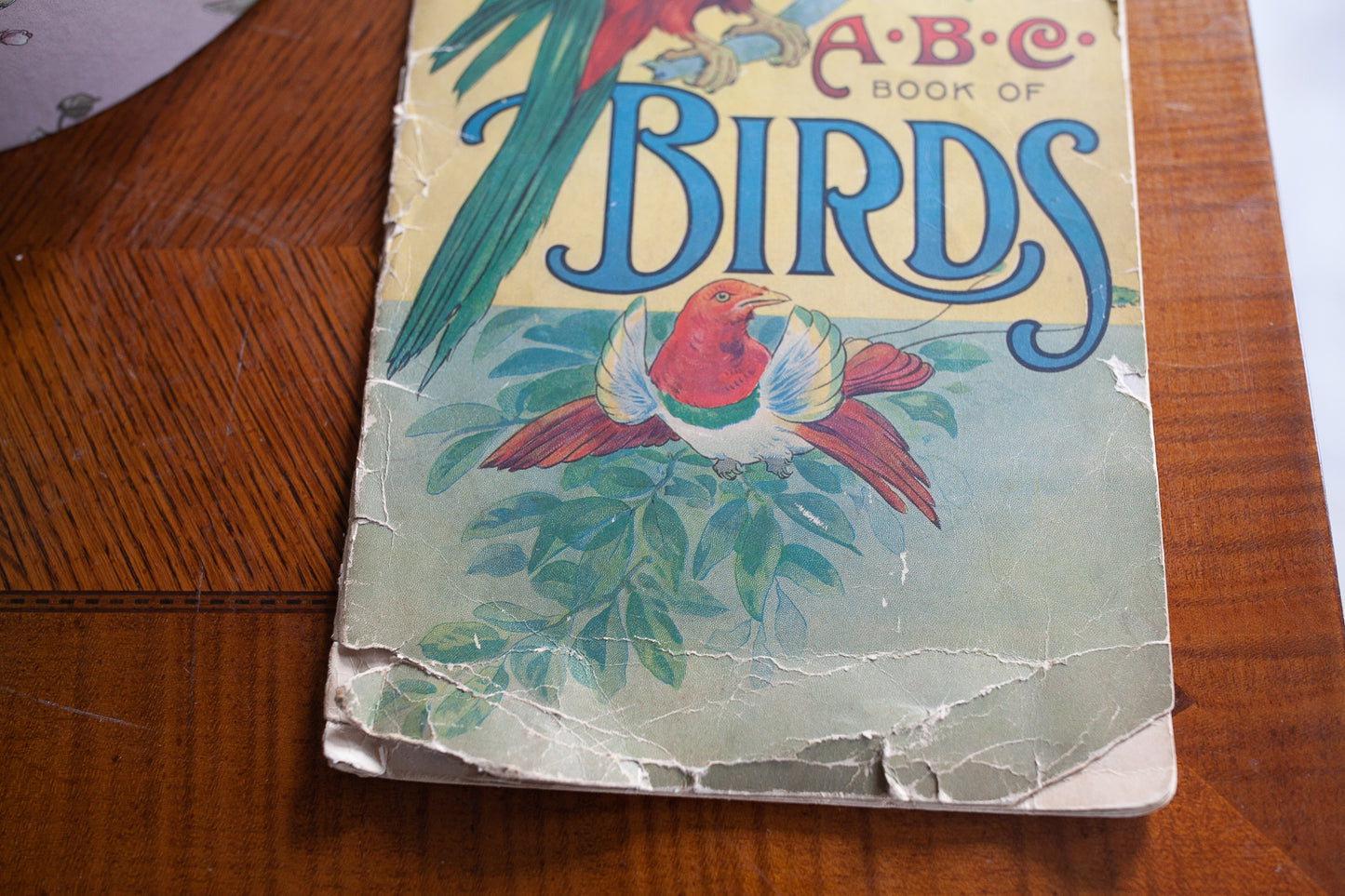 ABC Book of Birds - Bird Book Vintage Bird Book