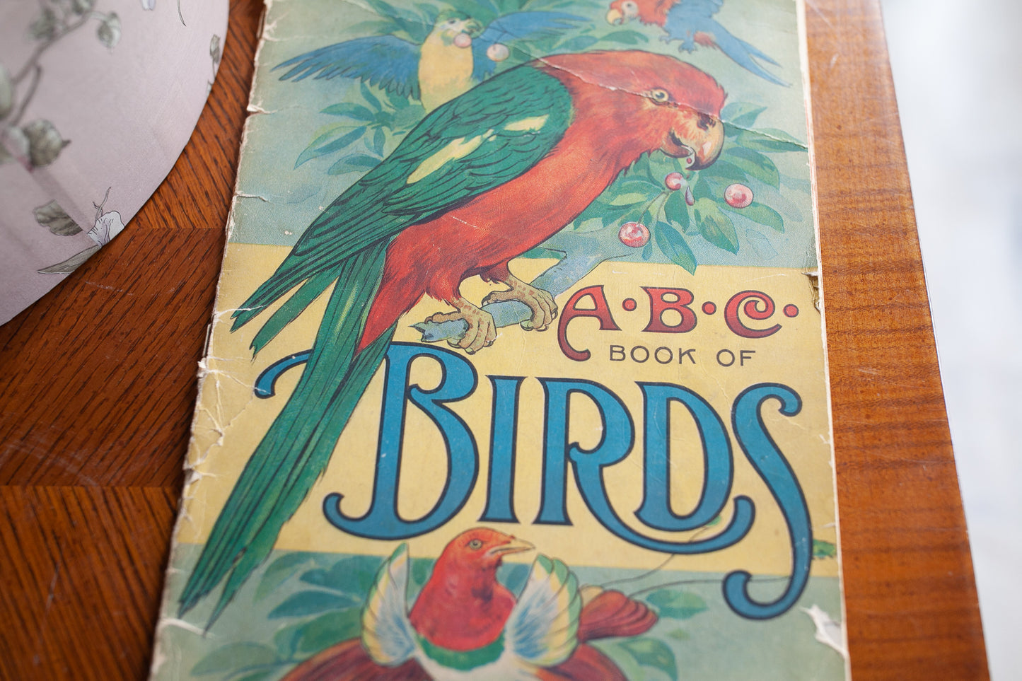 ABC Book of Birds - Bird Book Vintage Bird Book