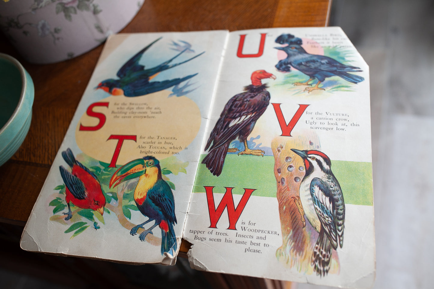 ABC Book of Birds - Bird Book Vintage Bird Book